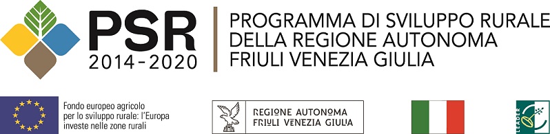 Logo PSR-FVG 2014-2020